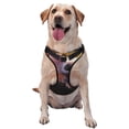 thumbnail image 1 of Fotbe Adorable Fluffy Bat Arnés para Perro con Estampado –Chaleco Ajustable Acolchado con Asa de Control para Perros Grandes-Medium, 1 of 6