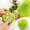 A Green, variant on Gel Squeeze Stress Ball, Glitter Star Sensory Squeeze Toys for Student and Adults, Christmas Stocking Stuffer Squeeze Relaxation Toys One Size Green