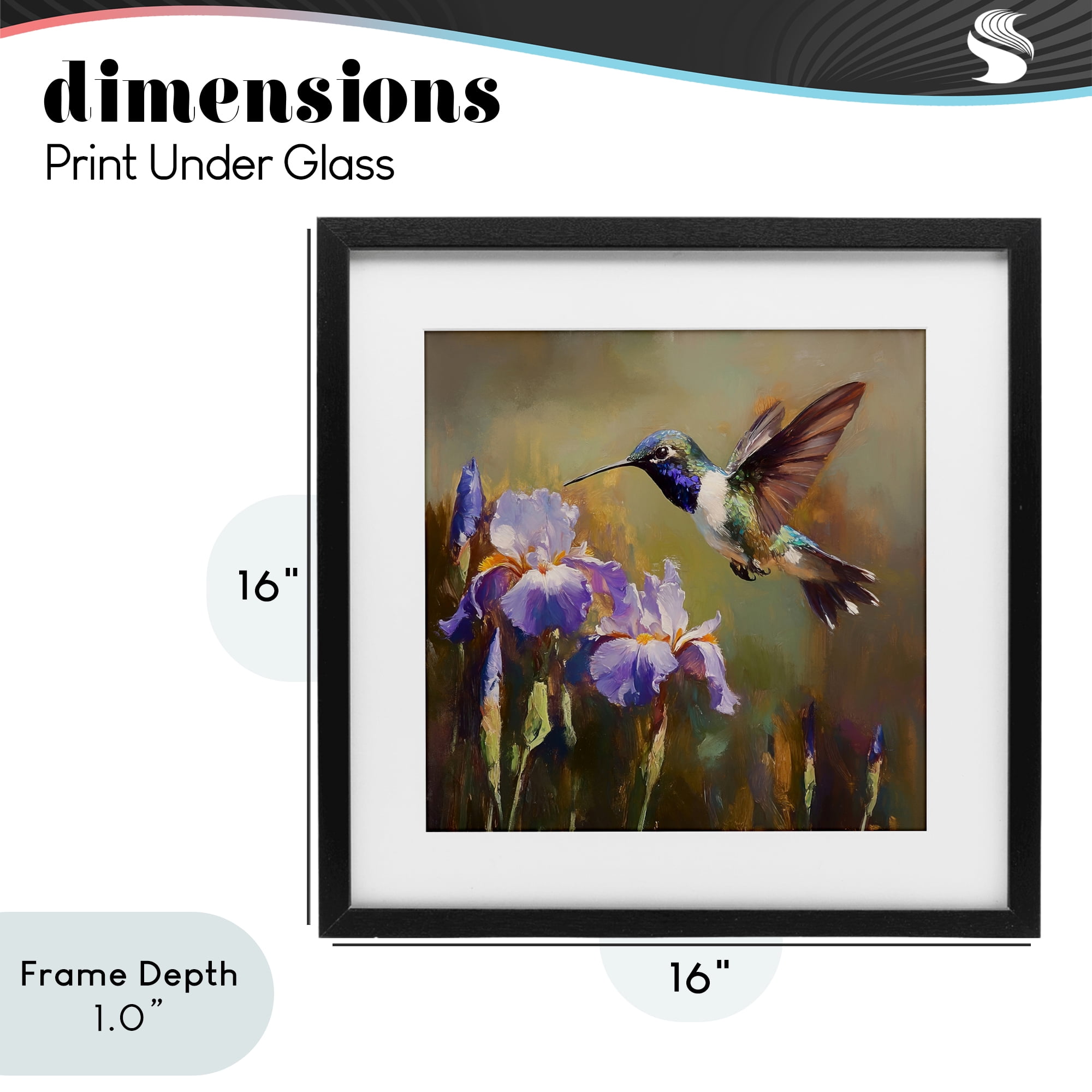 Stupell Industries Hummingbird & Purple Irises Black Framed Print Under Glass, design by Tina LeCour