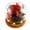 Red, variant on Threns Rose in Glass Present Exquisite Flowers in Glass Dome with LED Light Decorative Light Up Flowers in Glass Red Flowers Inside the Glass Dome for Birthday Mother's Day Anniversary
