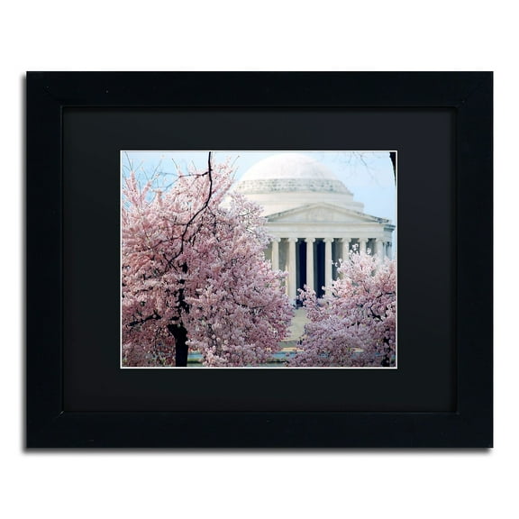 Trademark Fine Art "Cherry Blossoms 2014-7" Canvas Art by CATeyes, Black Matte, Black Frame