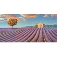 thumbnail image 2 of Galasso, Adriano 14x9 White Modern Wood Framed Museum Art Print Titled - Campi di lavanda, 2 of 4