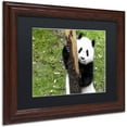 thumbnail image 2 of Trademark Fine Art "Giant Panda VI" Canvas Art by Philippe Hugonnard, Black Matte, Wood Frame, 2 of 4