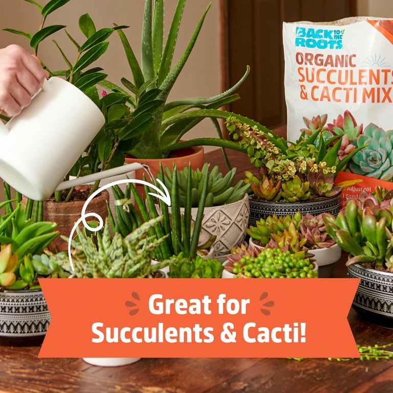 Back to the Roots 6qt Organic Succulents and Cacti Soil (2 packs)