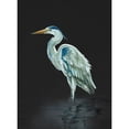 thumbnail image 3 of Sheppard, Lucca 14x18 Black Modern Framed Museum Art Print Titled - Garza Azul On Black, 3 of 5