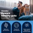 thumbnail image 5 of Vetnique Glandex Feline Anal Gland Powder with Probiotics for Cats, Tuna Flavored, 4 oz., 5 of 14