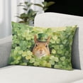 thumbnail image 4 of Happy Squirrel Welcome St Patrick's Day Lucky Shamrocks Clover Pillowcase Double Sided Pet Small Animal Lover Pillow Case Covers - 22001, 4 of 5
