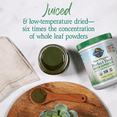 thumbnail image 4 of Garden of Life Raw Organic Perfect Food Green Superfood Juiced Greens Powder - Alkalize, Detoxify and Energize - Original, no stevia, 30 Servings, 4 of 6