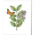 thumbnail image 3 of Great Art Now Greenery Butterflies by Wild Apple Portfolio 4 Piece Canvas Art Set Each 12W x 15H, 3 of 5