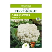Ferry-Morse 120MG Collards Georigia Southern Creole Vegetable Plant Seeds Packet