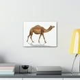 thumbnail image 3 of Majestic Camel Art Majestic Camel Print Animal Wall Art Wildlife Canvas Prints Wall Art Ready to Hang Unframed, 3 of 18