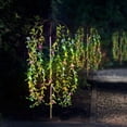 thumbnail image 3 of Imitation Light Ground Plug Simulation Outdoor Yard Garden Night Light Yard Decorative Solar Ground Plug Light, 3 of 7