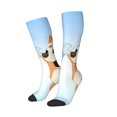 thumbnail image 2 of Saiise Bluey Funny Socks Men Women Boys Kids Adults Novelty Graphic Crew Tube Socks Crazy Design Casual Dress Socks for Sports,Running,Travel, 2 of 7