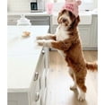thumbnail image 6 of Watson & Wallie Butcher’s Cut Beef Stew Inspired Dog Treats – Small Batch Crunchy Treats Made with Simple Ingredients, 6 of 6