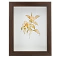 thumbnail image 1 of Shisuyan Rustic Shadow Box Frame For Displaying Keepsakes Photos Dried Flowers Versatile For Home And, 1 of 9