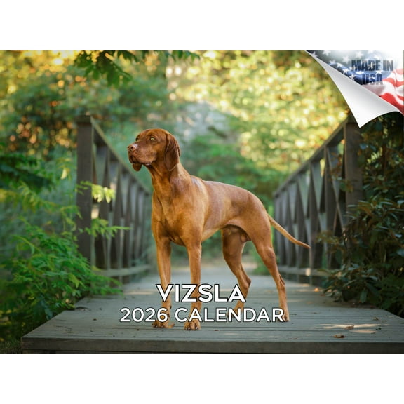 2025 2026 Vizsla Calendar - Dog Breed Monthly Wall Calendar - 12 x 18 Open - Thick No-Bleed Paper - Giftable - Made in USA