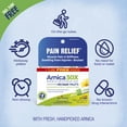 thumbnail image 6 of Boiron Arnica 30X Bonus Pack Pain Relief, Muscle Pain & Stiffness, Swelling from Injuries, Bruises, 3 x 80 Pellets, 6 of 10