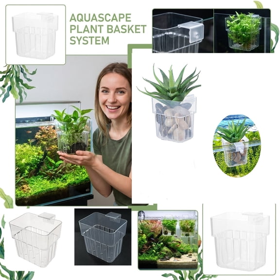 Aquarium Plant Potting Basket, Wall Mounted Transparent Plastic Cup Aquascaping, Hydroponic Holder Fish Tank 3 Inch