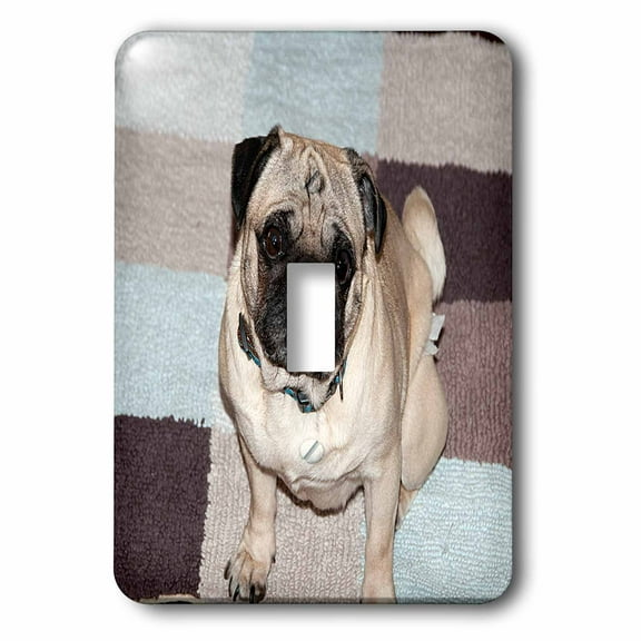 3dRose, An Ugly Adorable Pet Pug Dog Sitting on Blue and Brown Rug with Squares, single toggle switch