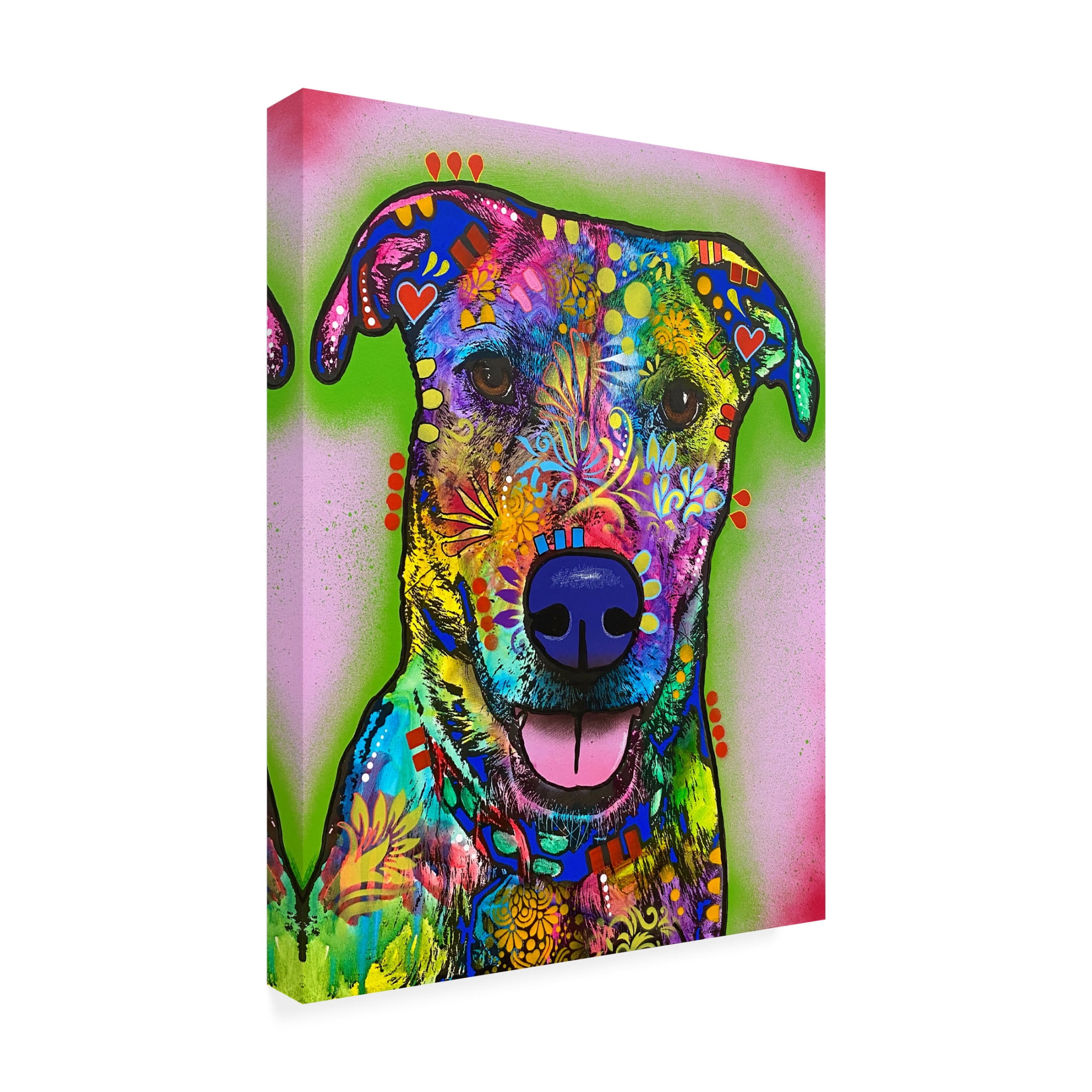 Canvas Wall Art - Dean Russo 'I Like You A Lot' Wall Art for Living Room, Bedroom, or Office Décor by Trademark Fine Art - 35 x 47 Inches