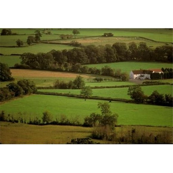 Danita Delimont PDDEU33WBI0042B View of Farmlands From Glastonbury Tor Glastonbury Somerset England Poster Print by Walter Bibikow, 18 x 12