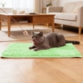 thumbnail image 3 of YaoZQ Light Green Soft Pet Bath Mat Non Slip Absorbent Rug Thick Fluffy Carpet for Dog Grooming Tub Shower Area Washable 24 x 16 Inch, 3 of 5