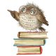 thumbnail image 1 of Funny Animal Wall Decals DIY Window Stickers Peel & Stick Wall Art, 1 of 5