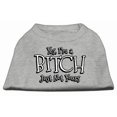 thumbnail image 1 of Yes Im a Bitch Just not Yours Screen Print Shirt Grey XS, 1 of 2