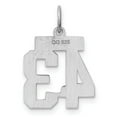 thumbnail image 5 of Auriga 925 Sterling Silver/Rhodium-plated Polished Number 43 Charm for Women (L-20mm, W-8mm), 5 of 6