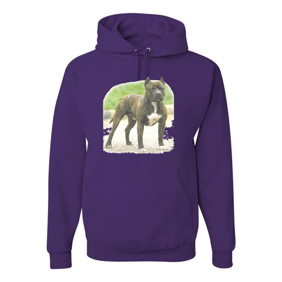 Wild Bobby, Pitbull Dog Animal Pet Lover, Dog Lover, Unisex Graphic Hoodie Sweatshirt, Purple, Small