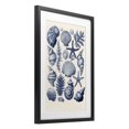 thumbnail image 3 of Stupell Industries Conch & Creature Collection Black Framed Print Under Glass, design by LSR Design Studio, 23 x 17, 3 of 10