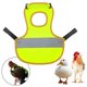 thumbnail image 1 of Delantales para aves de corral con bandas elásticas protectores para pollitos (verde) JM, 1 of 3