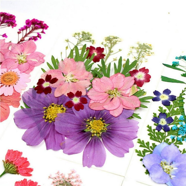 Natural Dried Flowers for Resin Mold, Real Dried Pressed Flowers