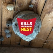 Raid Wasp & Hornet Insect Killer 33, Bug Spray & Kills Entire Nest, 17.5 oz