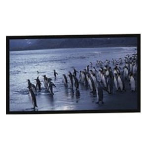 Accuscreen Electric Screen - New - AccuScreens Fixed Frame Projection Screen - N09254