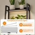 thumbnail image 3 of HRYGD Plant Stand Indoor with Grow Lights 5 Tier 63" Metal Wood Ladder Shelf with Drawer Black, 3 of 8