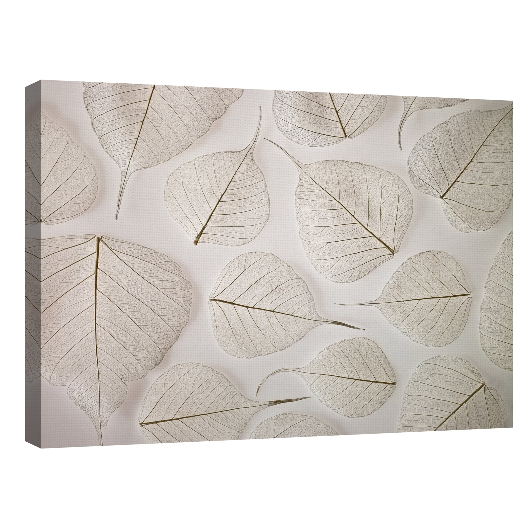 Tracery by Assaf Frank Floral Photo Canvas Art
