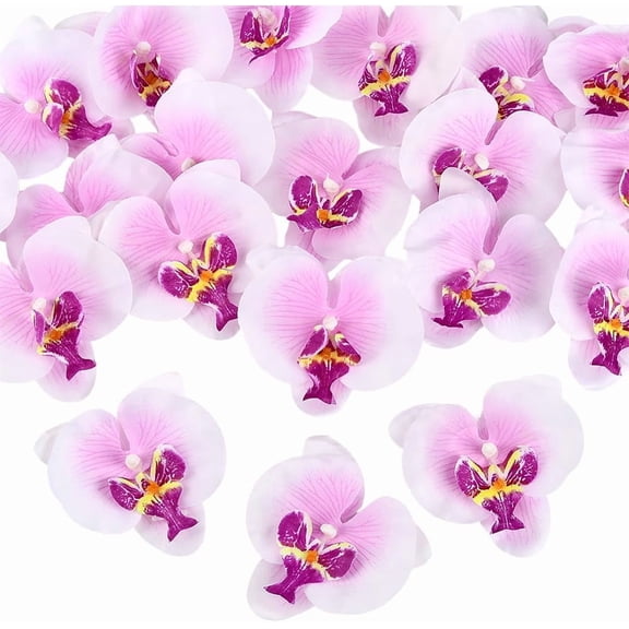 20Pcs Orchid Petals Artificial Orchid Flower Heads Silk Cloth Phalaenopsis Butterfly Flowers for Wedding Table Centerpieces Cake Decor Brown