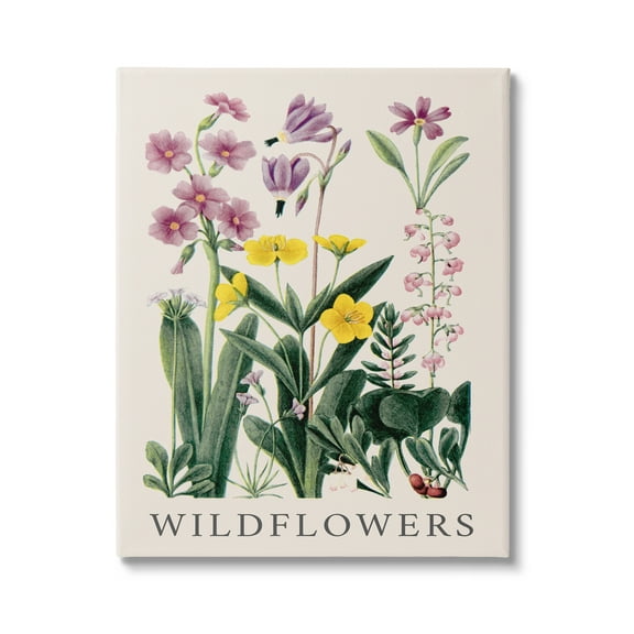 Stupell Industries Various Wildflowers Study Botanical & Floral Painting Gallery Wrapped Canvas Art Print Wall Art, 24 x 30