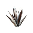 thumbnail image 1 of Billuyoard Estatuilla única de Metal de Agave, decoración para exteriores con Tequila azul rústico, estatua decorativa para el hogar Jardín y Patio plata, 1 of 6