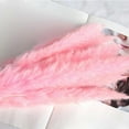 thumbnail image 3 of GTB 15Pcs Dried Pampas Grass Reed Flowers for Vase Bunch Flower Arrangement for Party Boho Decoration, 3 of 5