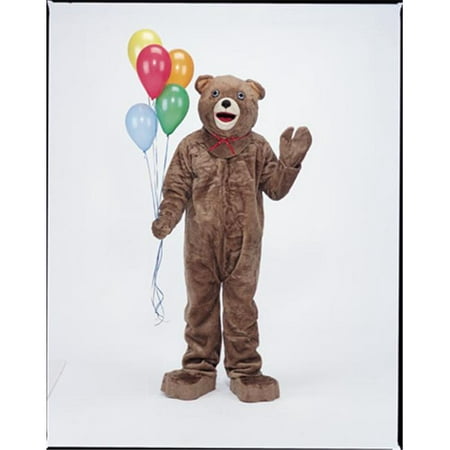 Costumes For All Occasions CM69013 Teddy Bear Mascot Complete
