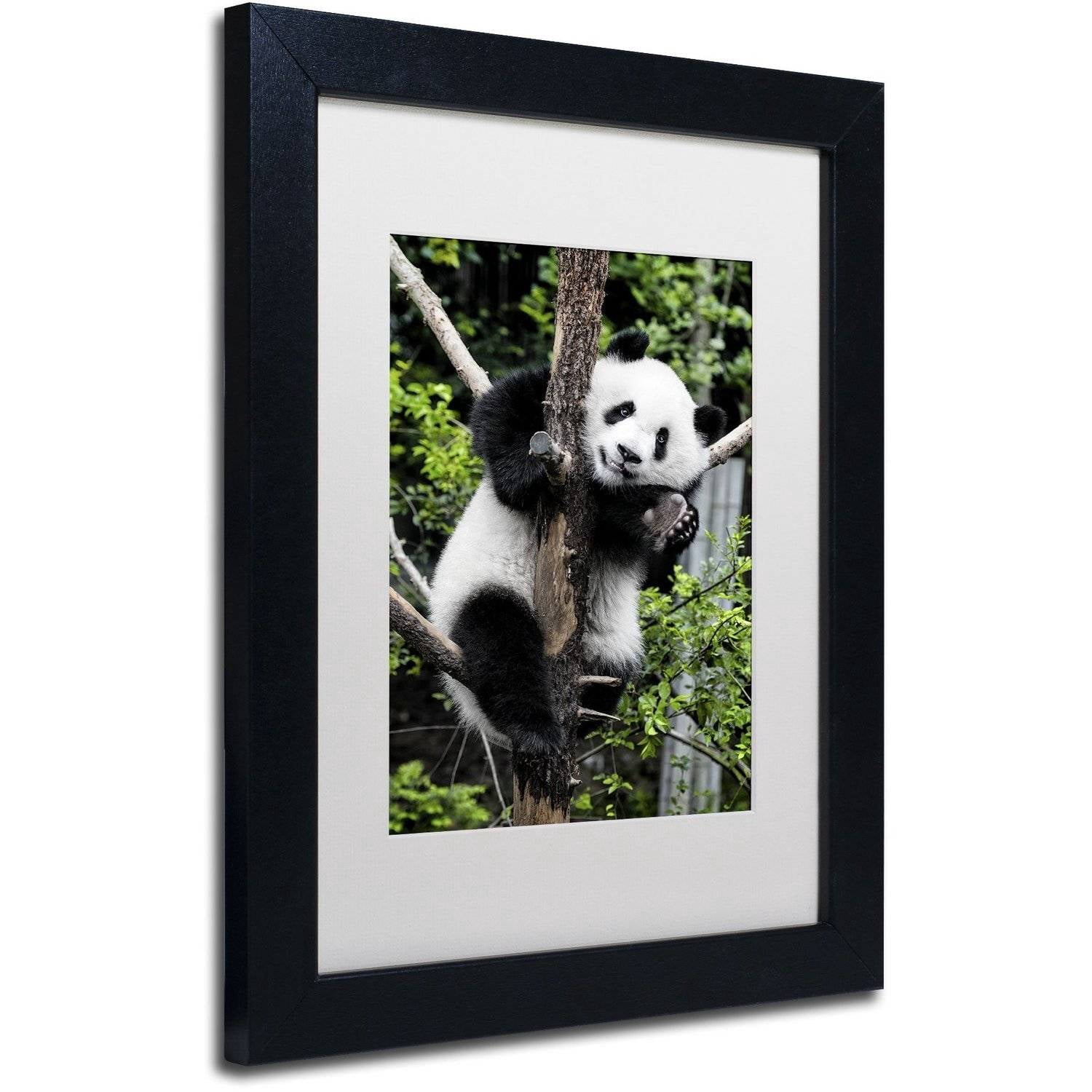 Trademark Fine Art "Giant Panda II" Canvas Art by Philippe Hugonnard, White Matte, Black Frame