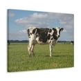 thumbnail image 2 of Majestic Cow Art Majestic Cow Print Animal Wall Art Wildlife Canvas Prints Wall Art Ready to Hang Unframed, 2 of 18