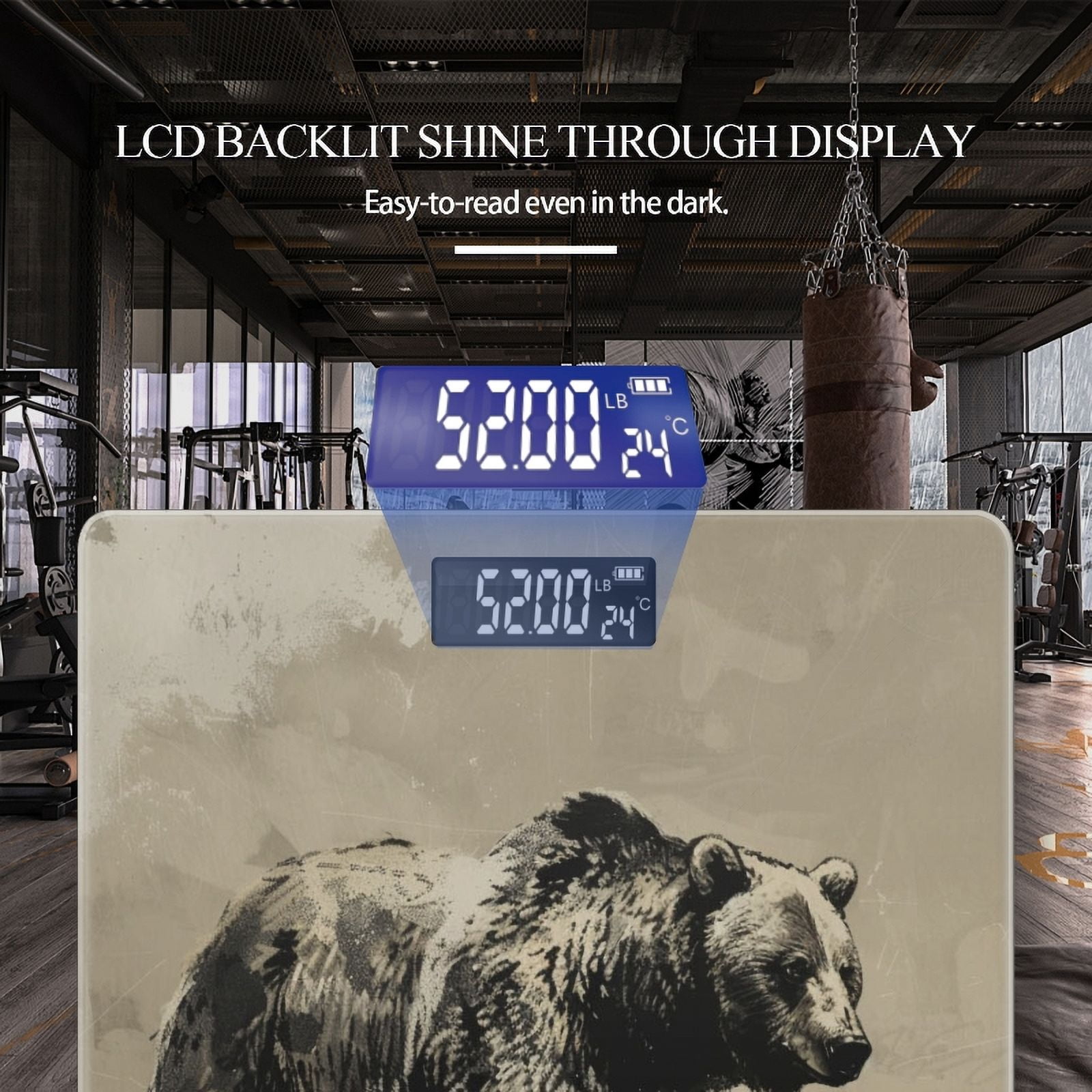 Bathroom Scale, Highly Accurate Digital Body Scale,Precisely Measures Weight up to 400 lbs-Grizzly Bear Walking In The Wild