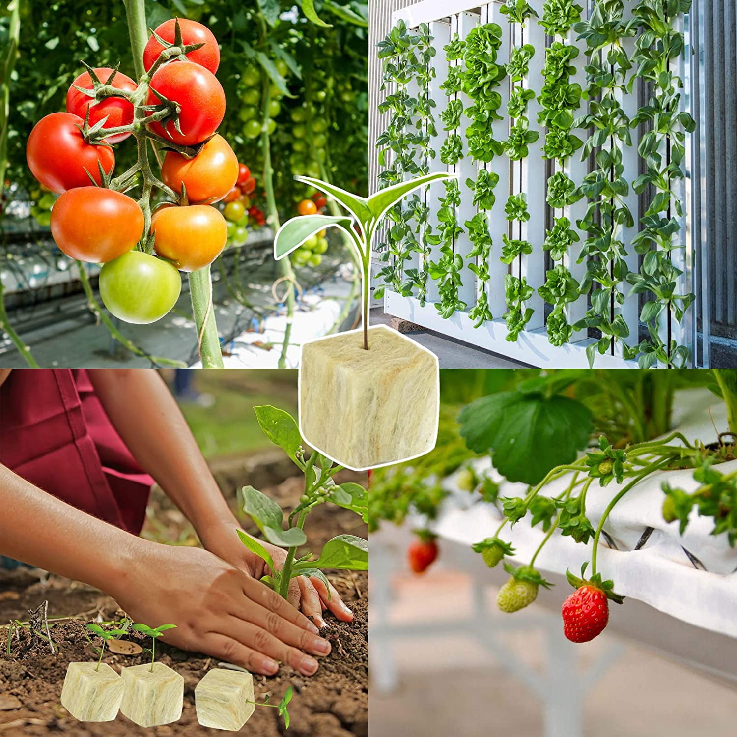 ZeeDix 1.5 inch 4 Sheets Rockwool Cubes 196 Cubes Starter Plugs for Soilless Cultivation Seedlings Plants Hydroponics Germination