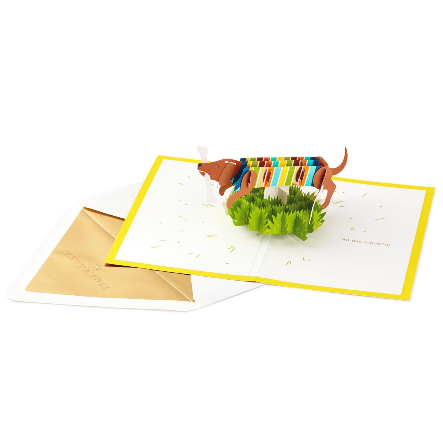 Hallmark Signature Paper Wonder Pop Up Birthday Card (Dachshund, Happy All Day Long)