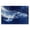Majestic Whale in Motion, variant on Stupell Industries Contemporary Breaching Humpback Whale Birch Framed Print Under Glass, 20 x 14, by Chromatic Storm Studio