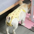 thumbnail image 3 of Mosey Soft Dog Pants Adjustable Band   for Female Dogs   Health Care, 3 of 7