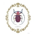 thumbnail image 2 of Wiens, James 12x14 White Modern Wood Framed Museum Art Print Titled - Adorning Coleoptera II, 2 of 4